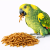 Larwy Mącznika 20 g – Naturalne Źródło Białka dla Papug  od ParrotPlanet.pl