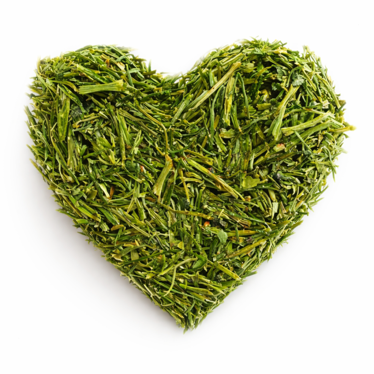 Pietruszkowe Serduszko dla Papug – Naturalna Przekąska Pełna Zdrowia od ParrotPlanet.pl