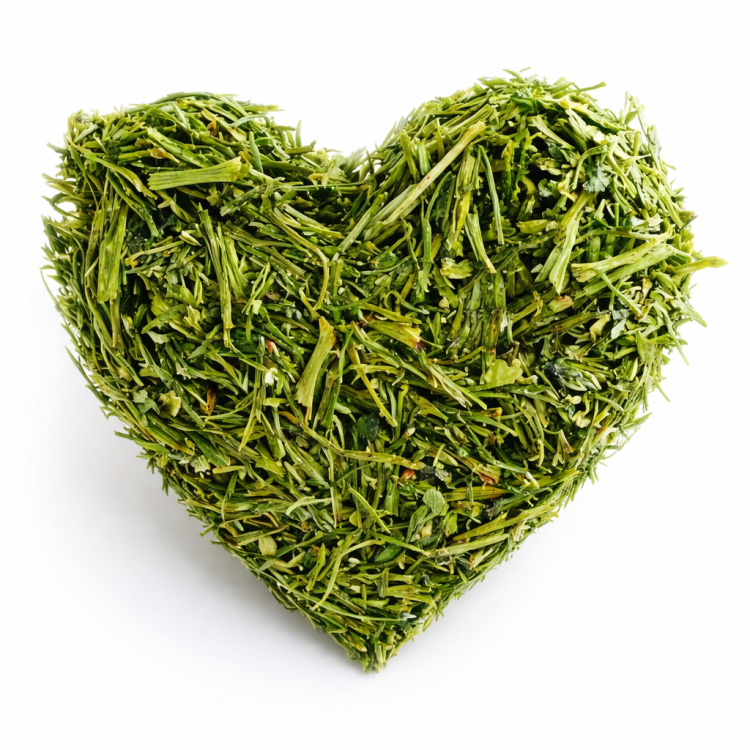 Pietruszkowe Serduszko dla Papug – Naturalna Przekąska Pełna Zdrowia od ParrotPlanet.pl