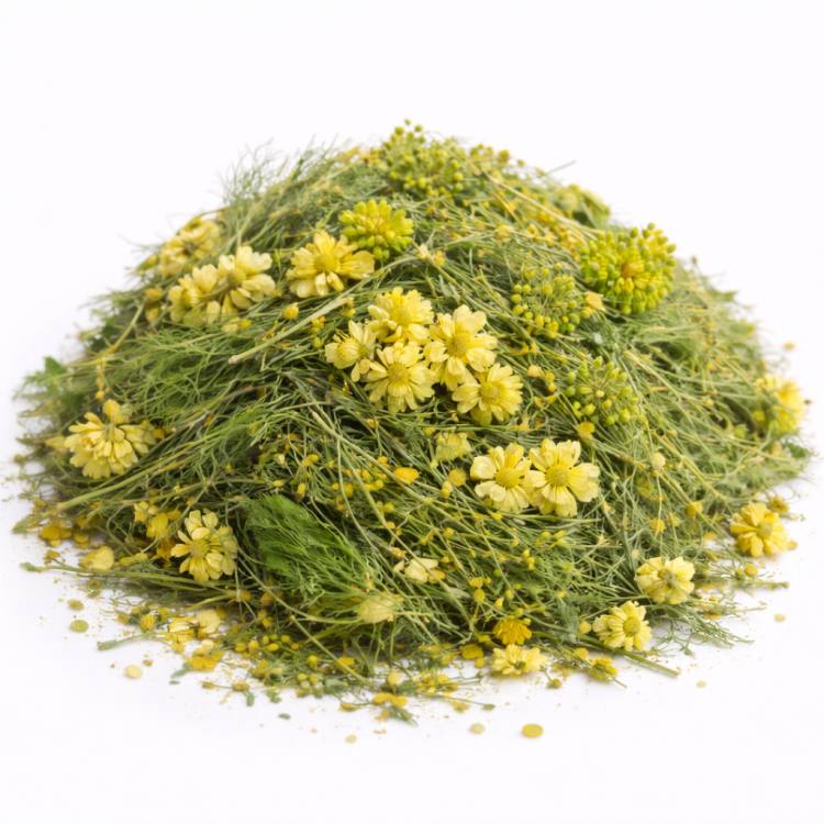 Ziółka z Kocanką i Koprem dla gryzoni w tym: królików, kawii domowej (świnek morskich), szynszyli, koszatniczek, chomików, myszy, szczurów, myszoskoczków 500g od ParrotPlanet.pl