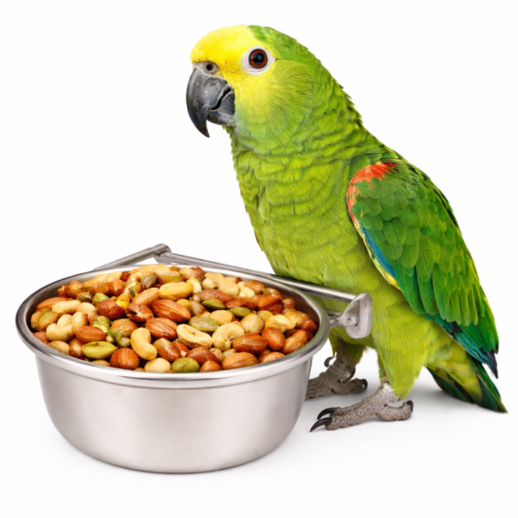 Miseczka metalowa dla papug ze stali przykręcana - 600ml