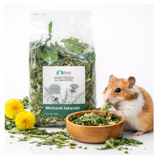 Liście Mniszka Lekarskiego TIVO dla wszystkich gryzoni 600g od ParrotPlanet.pl