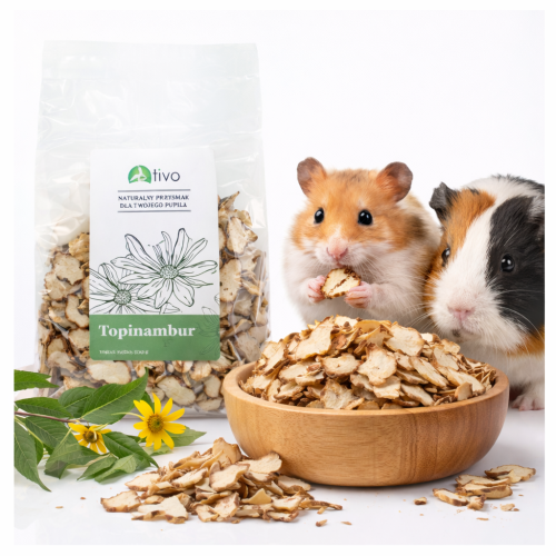 TIVO - Topinambur dla wszystkich gryzoni 100g od ParrotPlanet.pl