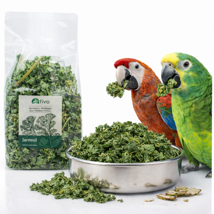 TIVO Jarmuż suszony dla papug – naturalny superfood | 70 g od ParrotPlanet.pl