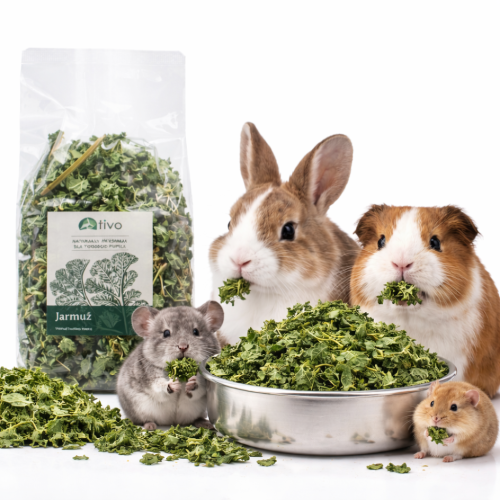 TIVO - Jarmuż dla wszystkich gryzoni 70g od ParrotPlanet.pl