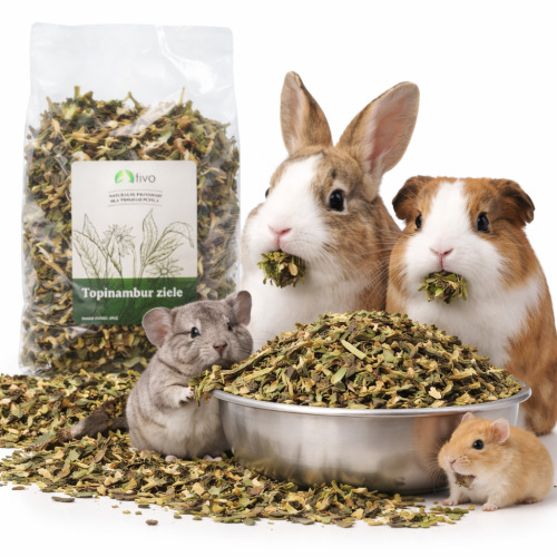 Topinambur ziele dla gryzoni – naturalny dodatek roślinny | 150 g od ParrotPlanet.pl