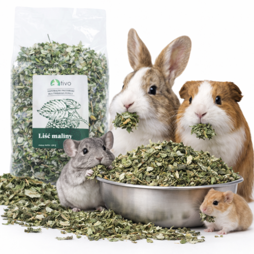 Liść maliny dla gryzoni – naturalny dodatek roślinny | 150 g  od ParrotPlanet.pl