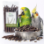 Gałązki wierzbowe dla papug – naturalny gryzak i element foragingu | 100 g od ParrotPlanet.pl