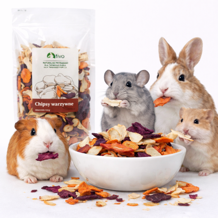 Chipsy warzywne dla gryzoni – naturalna mieszanka suszonych warzyw | 250 g od ParrotPlanet.pl