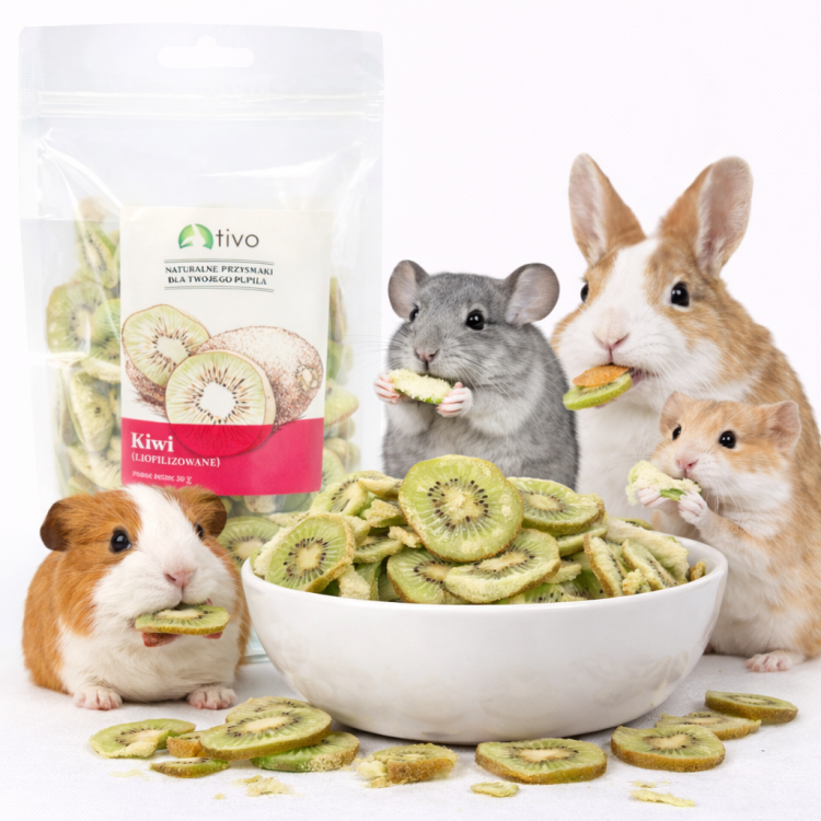 Chrupiące kiwi liofilizowane dla gryzoni – naturalny przysmak owocowy | 20 g  od ParrotPlanet.pl