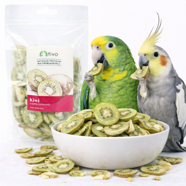 Chrupiące kiwi liofilizowane dla papug – naturalny przysmak owocowy | 20 g od ParrotPlanet.pl