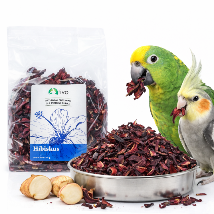 ChatGPT Image 27 sty 2026, 18_12_59.png