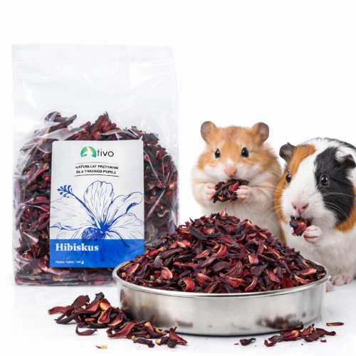 Płatki hibiskusa dla gryzoni – naturalny dodatek roślinny | 100 g od ParrotPlanet.pl
