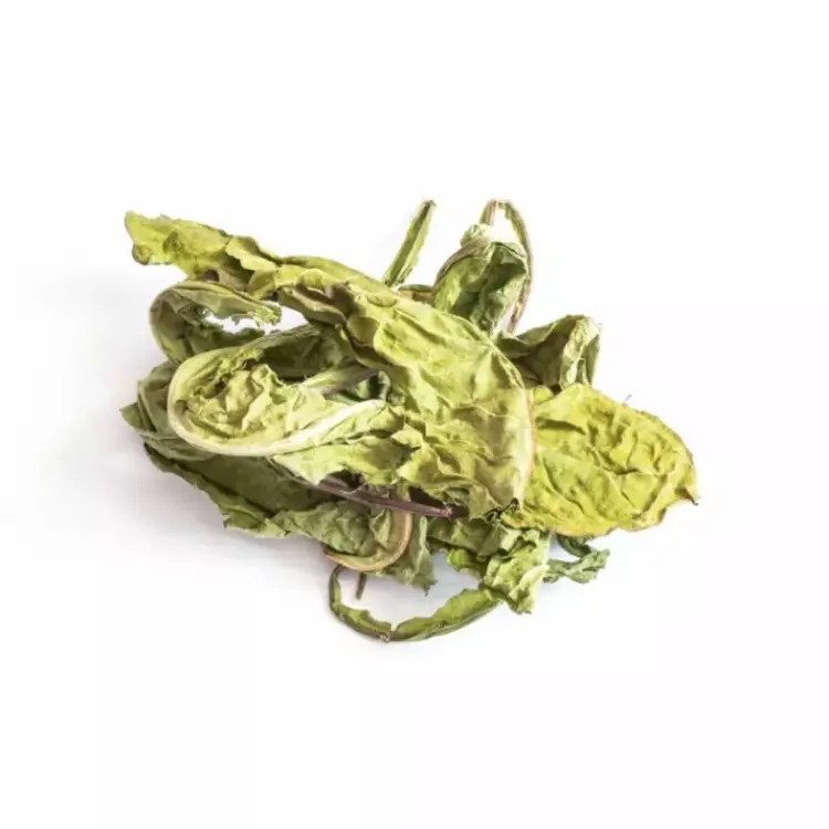 Liście Mniszka Lekarskiego TIVO dla wszystkich gryzoni 100g od ParrotPlanet.pl