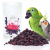 Chrupiąca jeżyna liofilizowana dla papug – naturalny przysmak owocowy | 20 g od ParrotPlanet.pl