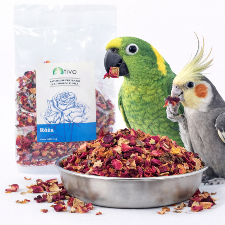 Płatki róży dla papug – naturalny dodatek kwiatowy | 35 g od ParrotPlanet.pl