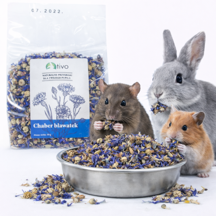 Płatki bławatka (chaber) dla gryzoni – naturalny dodatek kwiatowy | 60 g  od ParrotPlanet.pl