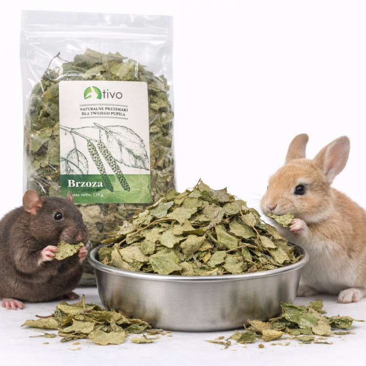 TIVO Liście brzozy dla gryzoni – naturalny dodatek roślinny | 150 g od ParrotPlanet.pl