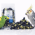 Płatki malwy czarnej dla papug – naturalny dodatek kwiatowy | 45 g  od ParrotPlanet.pl
