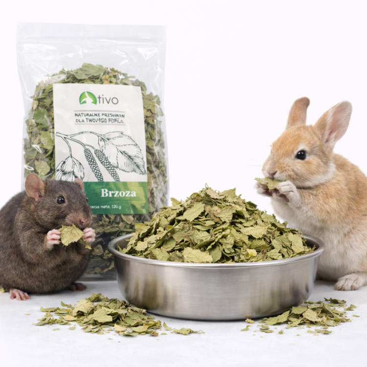 Płatki malwy czarnej dla gryzoni – naturalny dodatek kwiatowy | 45 g od ParrotPlanet.pl