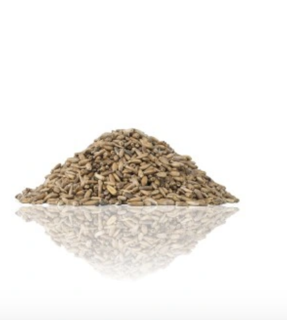 TIVO Ostropest plamisty dla gryzoni 100g – naturalny dodatek roślinny od ParrotPlanet.pl