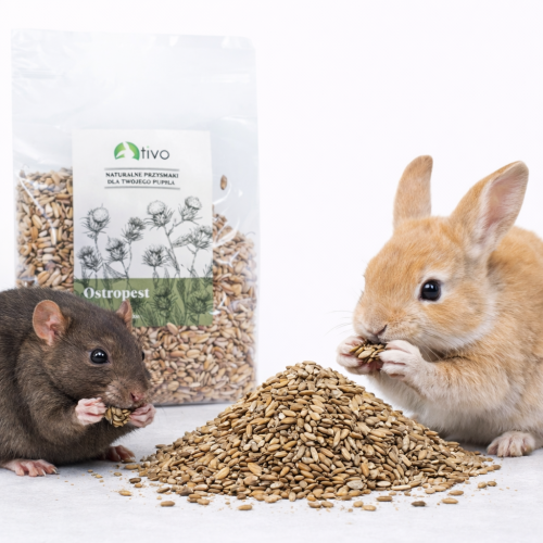 TIVO Ostropest plamisty dla gryzoni 100g – naturalny dodatek roślinny od ParrotPlanet.pl