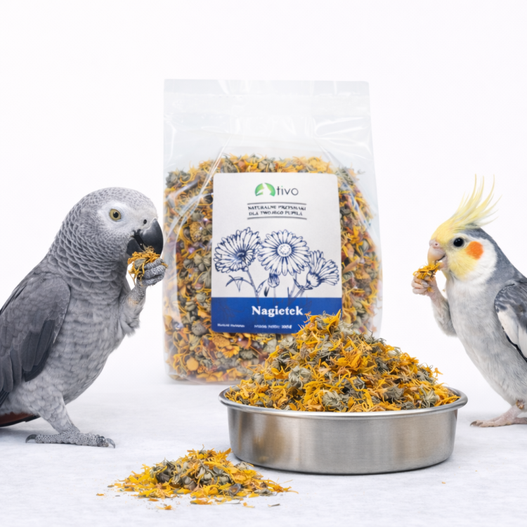 Kwiatki nagietka dla papug – naturalny dodatek kwiatowy | 100 g od ParrotPlanet.pl