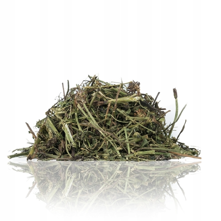 Koniczyna dla gryzoni – naturalny dodatek roślinny | 120 g od ParrotPlanet.pl
