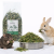 Koniczyna dla gryzoni – naturalny dodatek roślinny | 120 g od ParrotPlanet.pl