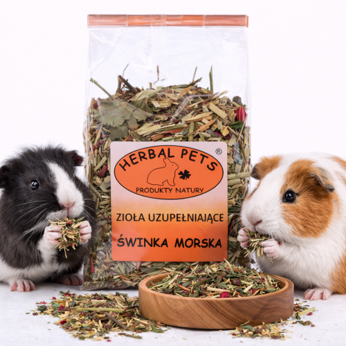 Zioła Uzupełniające dla Świnki Morskiej – Naturalna Troska o Zdrowie Twojego Pupila 100g od ParrotPlanet.pl
