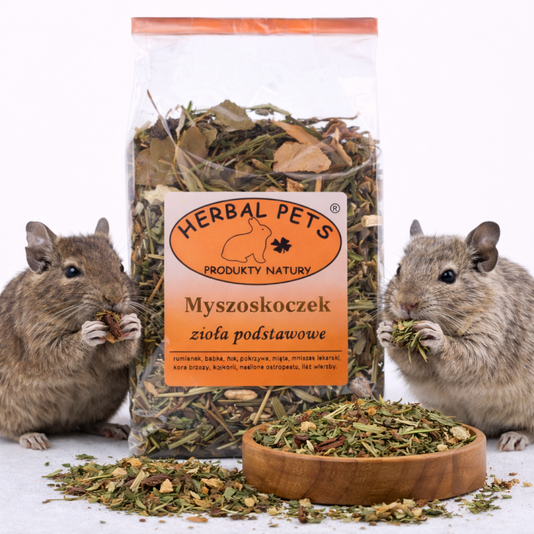 Zioła podstawowe dla myszoskoczka – naturalne wsparcie zdrowia i odporności 100g od parrotPlanet.pl