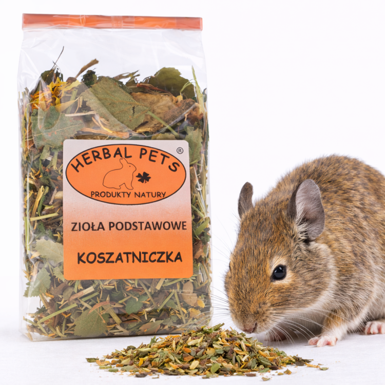 Zioła podstawowe dla koszatniczki – zdrowie i smak w jednym od ParrotPlanet.pl