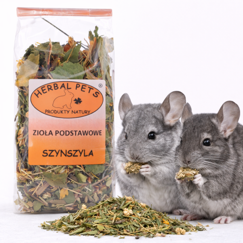 Zioła podstawowe dla szynszyli – naturalna harmonia zdrowia od ParrotPlanet.pl