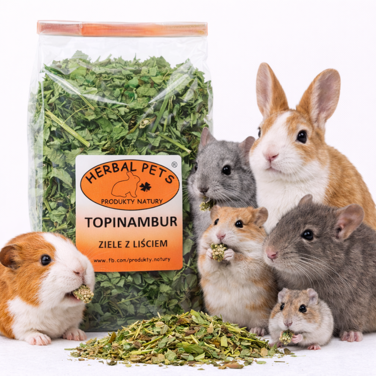 Topinambur Ziele z Liściem – Naturalne Wsparcie Dla Układu Trawiennego Królików i Gryzoni 70g od ParrotPlanet.pl