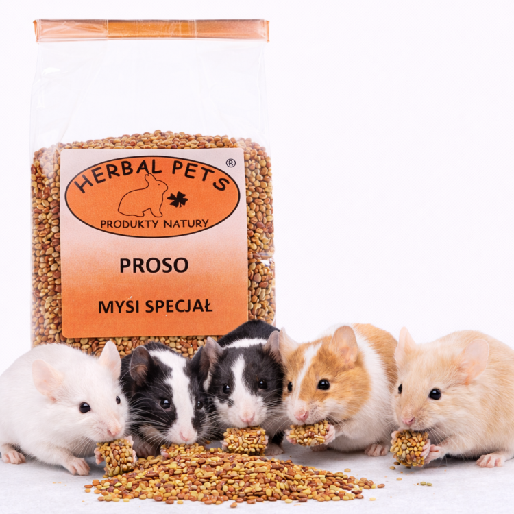 Mysi Specjał Proso dla Myszki – Naturalny Przysmak pełen Cennych Składników 150g od ParrotPlanet.pl