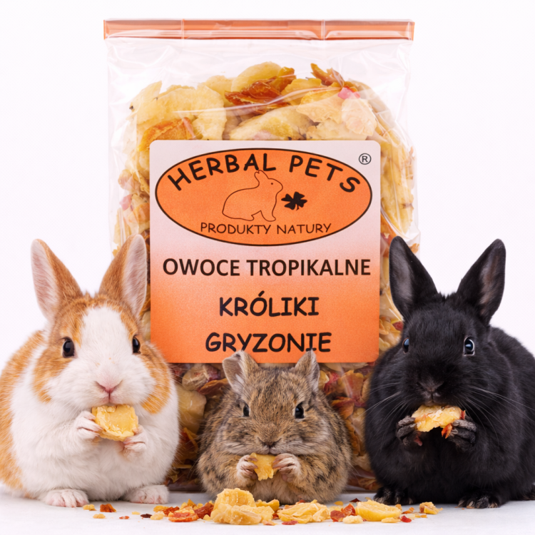 Owoce tropikalne – naturalny smakołyk dla królików i gryzoni 75g od Parrotplanet.pl