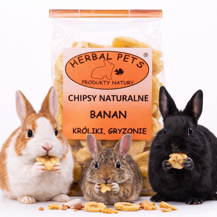 Chipsy Naturalne – Banan: Pyszny i Odżywczy Przysmak dla Królików i Gryzoni 75g od ParrotPlanet.pl