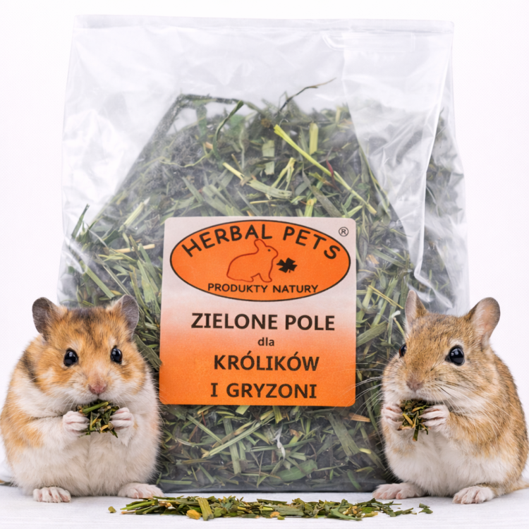 Zielone Pole dla Królików i Gryzoni – Naturalna Mieszanka Zielonych Roślin 300g  od ParrotPlanet.pl