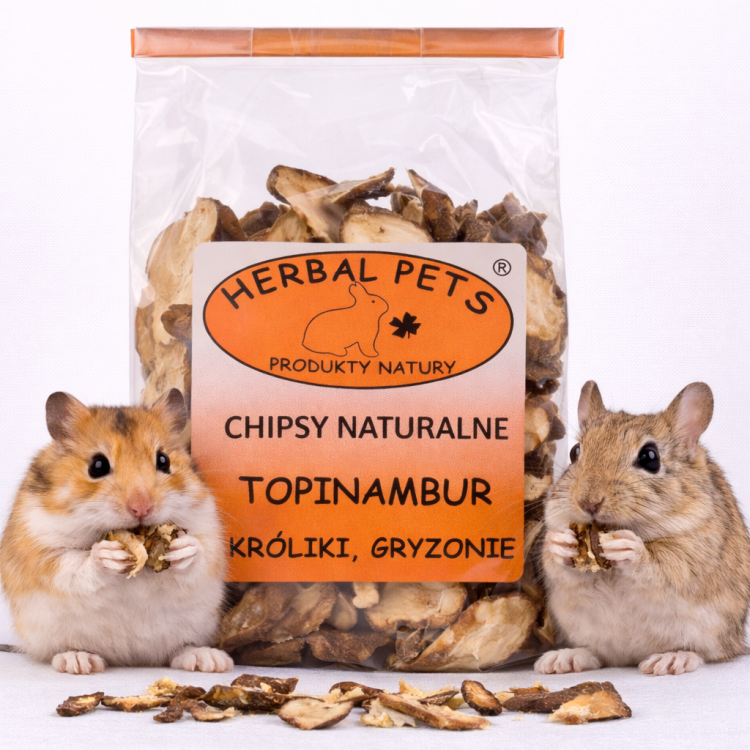 Chipsy Naturalne – Topinambur dla Królików i Gryzoni 75g od ParrotPlanet.pl