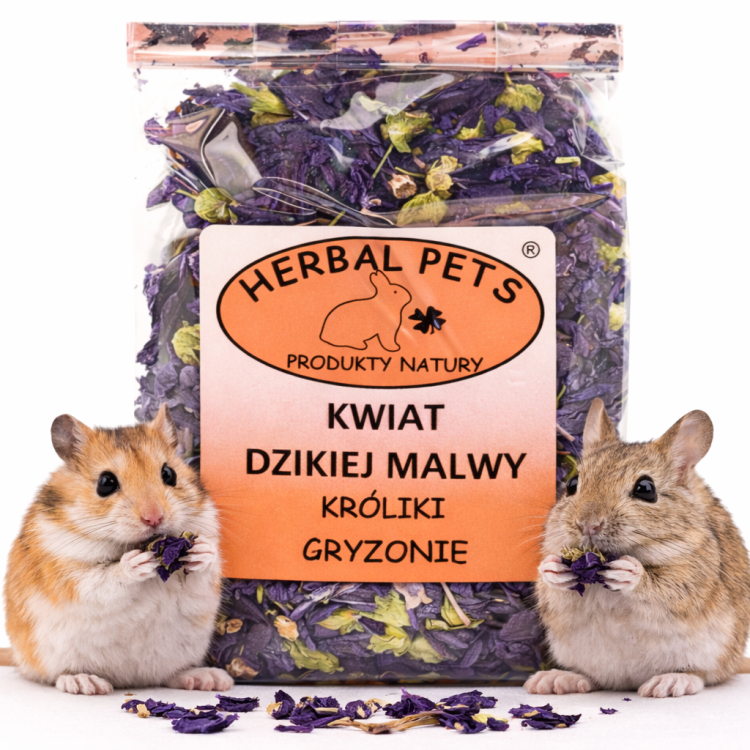 Kwiat Czarnej Malwy dla Królików i Gryzoni 20g od ParrotPlanet.pl