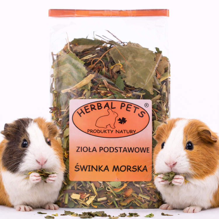 Zioła podstawowe dla świnki morskiej – naturalna mieszanka wspierająca odporność i trawienie 100g od ParrotPlanet.pl