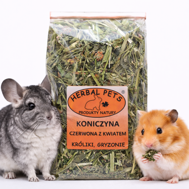 Koniczyna Czerwona z Kwiatem – Naturalne Wsparcie Trawienia dla Królików i Gryzoni 80g od ParrotPlanet.pl