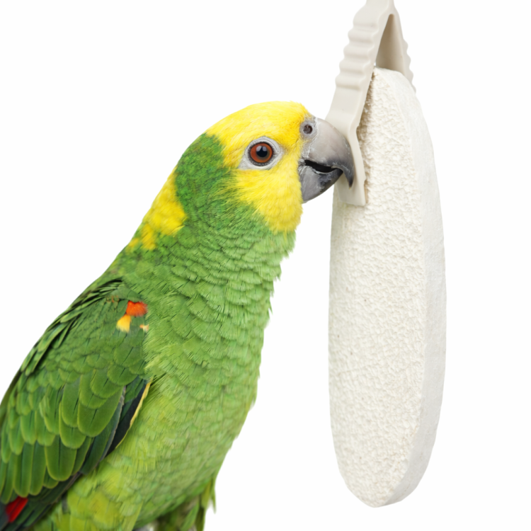 Sepia dla wszystkich papug 11 cm, 40g od ParrotPlanet.pl