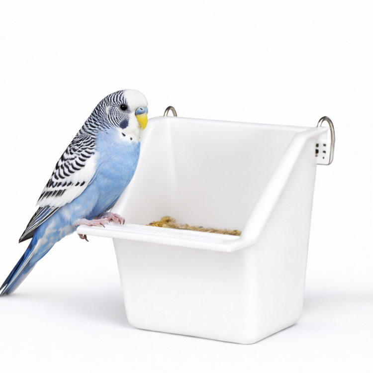 Miseczka plastikowa dla papug 65 ml od ParrotPlanet.pl