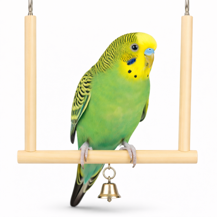 Huśtaweczka Drewniana - dla małych papug od ParrotPlanet.pl