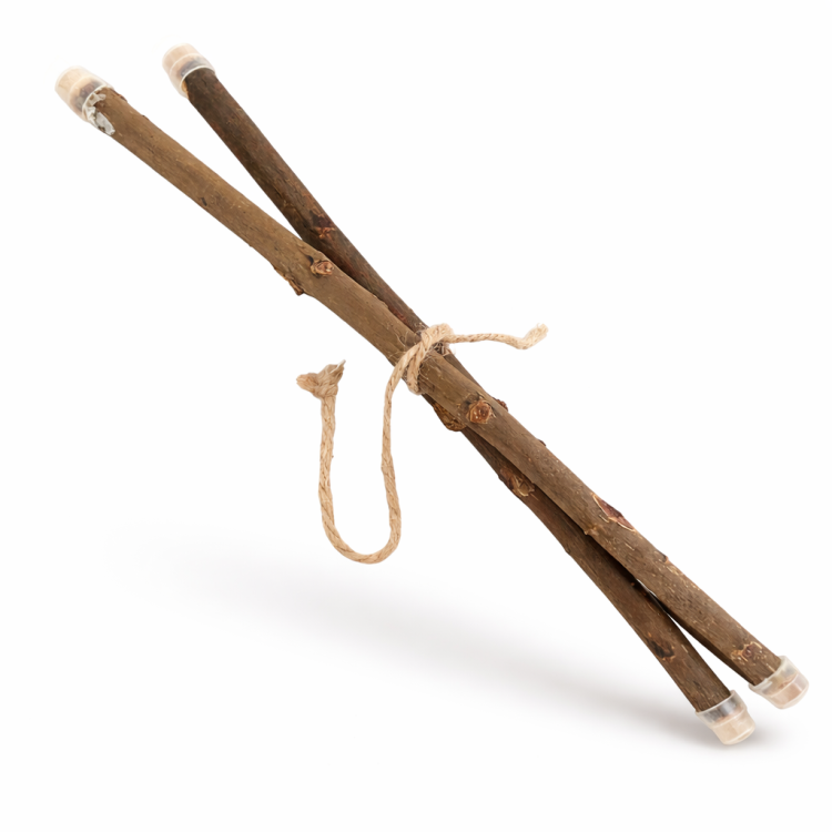 Komplet 2 Żerdzi Naturalnych z Mocowaniem S – Naturalne Gałązki dla Małych Papug od ParrotPlanet.pl