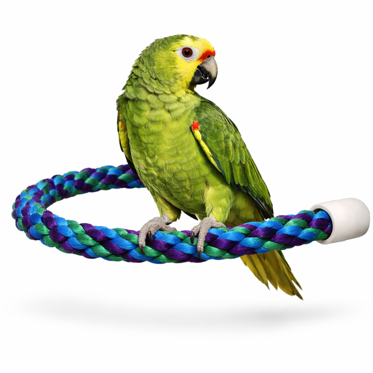 ZIG ZAG - Kolorowa Żerdka Bawełniana rozm.L/XL- dla dużych i średnich papug od ParrotPlanet.pl