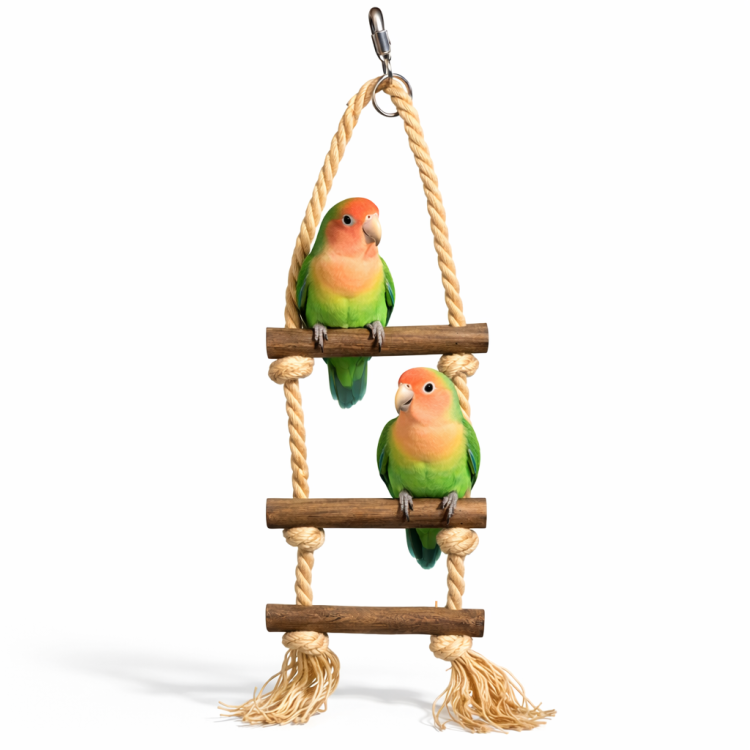 Sznurkowa Drabinka - dla małych i średnich papug  od ParrotPlanet.pl