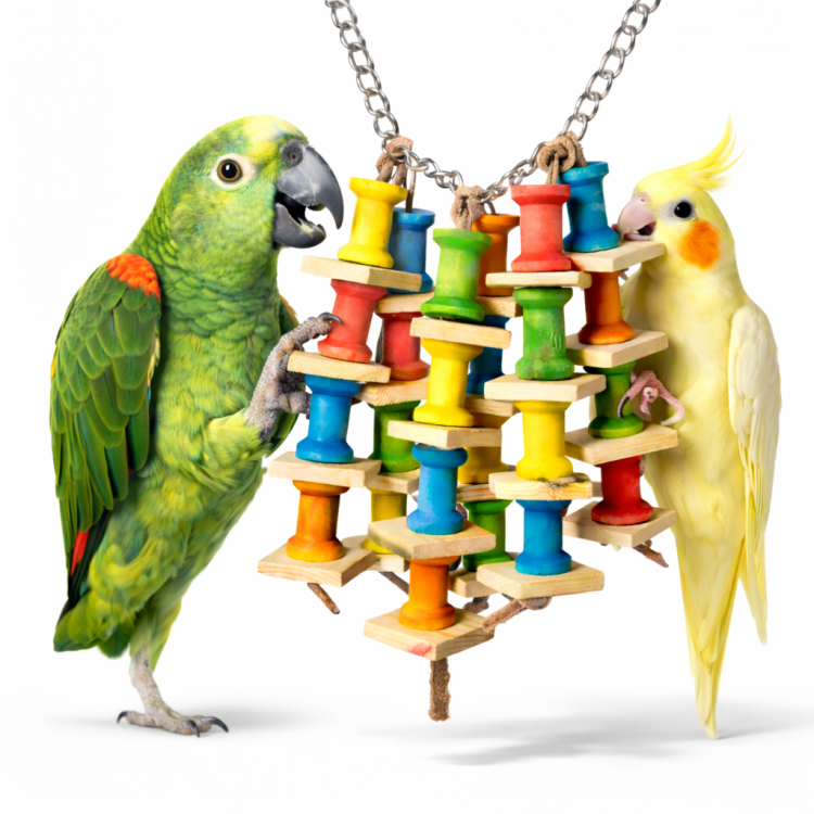Wiszące Drewienka - zabawka dla wszystkich papug od ParrotPlanet.pl