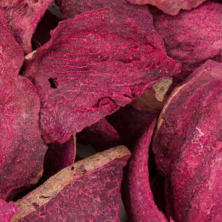 Powerki Vitapol Burak Liofilizowany 20 g – Naturalna Przekąska dla Gryzoni od ParrotPlanet.pl